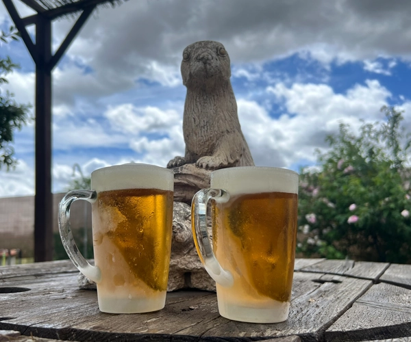bar